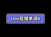 tele聊天軟件-teleplus聊天app