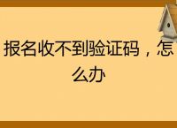 國內注冊收不到驗證碼怎么辦-中國手機號注冊為什么收不到信息