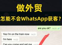 whatsapp官網下載安裝最新版本-whatsapp官方網下載安卓2020手機版