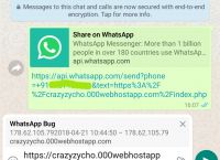 whatsapp怎么說-whatsapp英文怎么發(fā)音