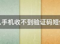 紙飛機國內號碼收不到驗證碼-紙飛機國內號碼收不到驗證碼怎么登錄