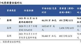 海外npv加速梯子,小藍(lán)鳥pvn加速器大全