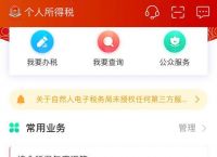 個人所得稅app正版官方下載,個人所得稅app正版官方下載注冊蘋果手機