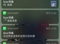 whatsapp怎么翻譯成英文,whatsapp怎么直接在軟件中譯英