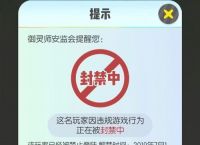 飛機顯示手機號封禁怎么辦理,飛機顯示手機號封禁怎么辦理登機手續