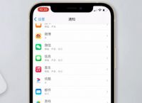 蘋果安裝軟件怎么取消按兩下,iphone怎么取消按兩下安裝