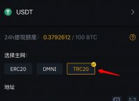 關于usdt-trc20錢包官方下載的信息