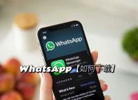 whatsapp進不去怎么辦的簡單介紹