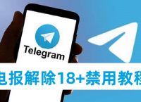 telegram中國(guó)禁用了嗎,telegram會(huì)被網(wǎng)警檢測(cè)到嗎