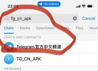 關(guān)于Telegram安卓中文版的信息