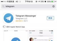 telegeram網站是什么,online telegram