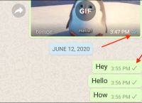 whatsapp電腦版怎么視頻聊天,whatsapp電腦版可以視頻聊天嗎