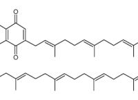 關(guān)于plastoquinone的信息