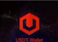 usdt錢包id怎么看,錢包地址查詢usdt余額