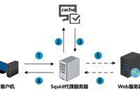 國外服務器代理ip,國外服務器代理ip免費