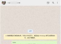 whatsapp如何讀,whatsapp messenger怎么讀