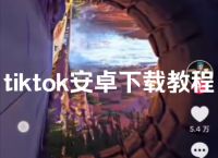 國內(nèi)怎么下載tiktok安卓,國內(nèi)的手機怎么下載tiktok