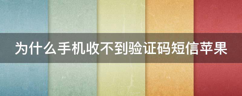 [為什么收不到紙飛機的驗證碼]紙飛機app為什么我的手機號不發驗證碼