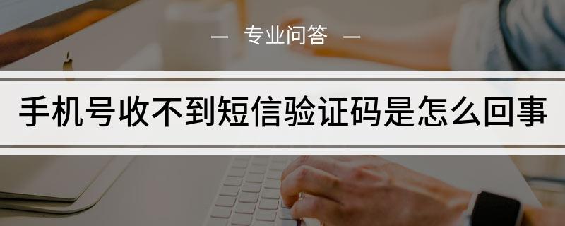 紙書為什么收不到驗證碼-紙書app為什么不能注冊