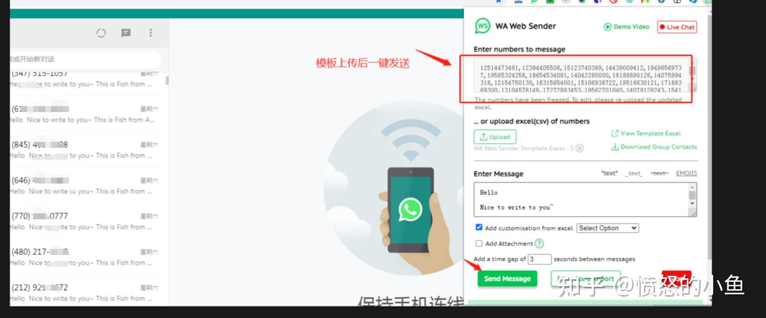 whatsapp在國內能用么-whatsapp 在中國可以用么