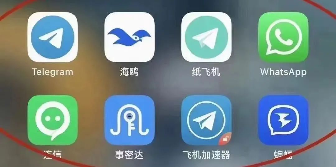 紙飛機聊天app-紙飛機聊天app中文版蘋果