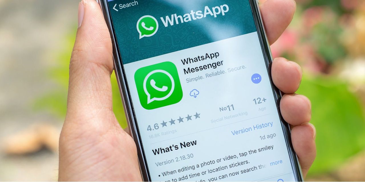 whatsapp安卓版官網下載手機端-whatsapp安卓最新版官方網免費下載