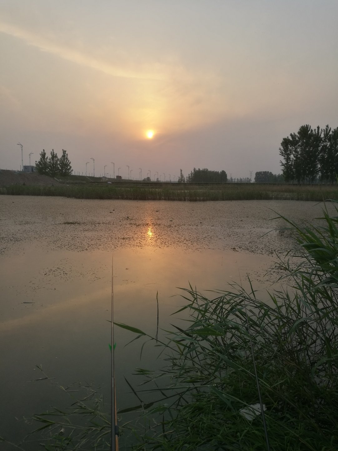 濮陽天氣預報,濮陽天氣預報7天