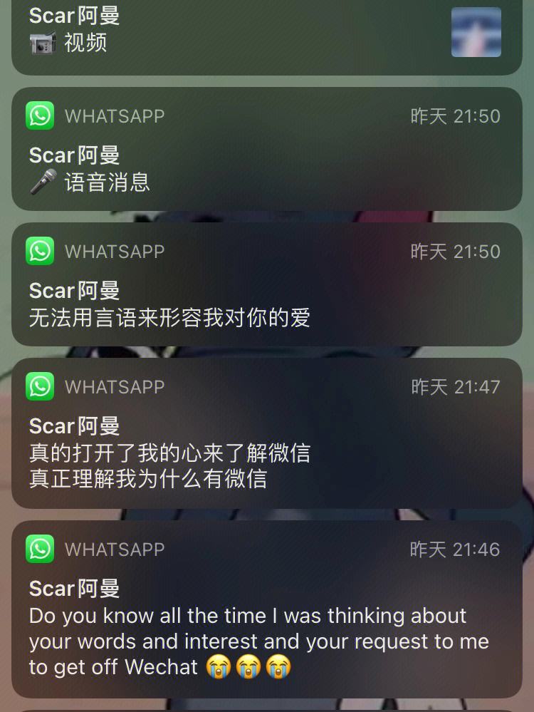 whatsapp怎么翻譯成英文,whatsapp怎么直接在軟件中譯英