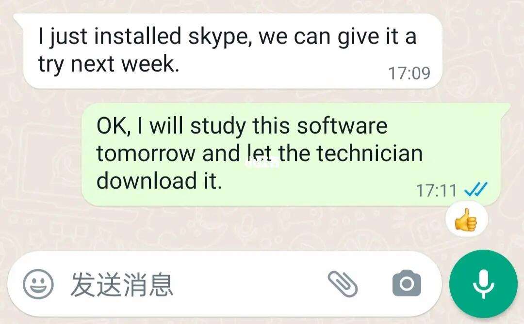 skype什么意思英語,skype什么意思中文翻譯