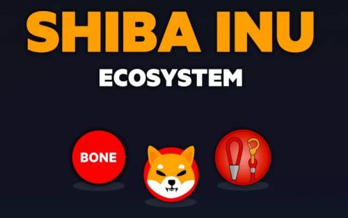 coinbase上線shib,Coinbase上線永續期貨合約