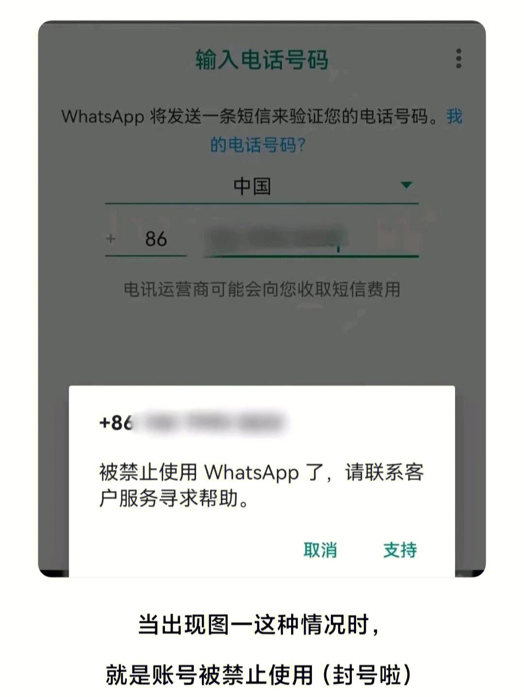 手機下載whatsapp不能用,為什么下載whatsapp不能用