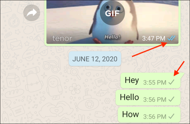 whatsapp電腦版怎么視頻聊天,whatsapp電腦版可以視頻聊天嗎