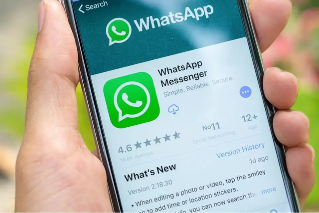 whatsapp國內能用嗎?,whatsapp最新版本下載2024