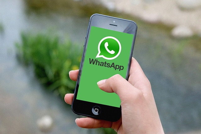 whatsapp怎樣,whatsapp怎樣注冊(cè)成功率高