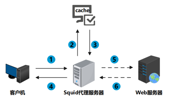 國外服務(wù)器代理ip,國外服務(wù)器代理ip免費(fèi)