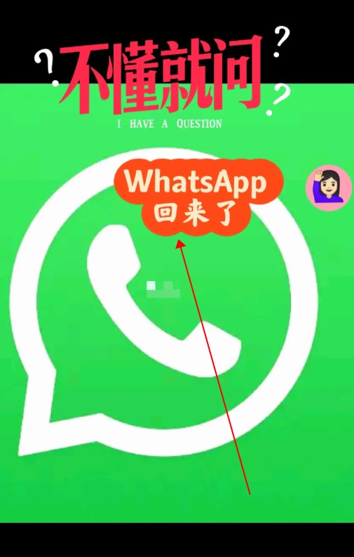 whatsapp下載安卓,whatsapp下載安卓新版2024