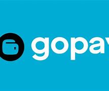 gopay1.cn,gopay錢包官網首頁