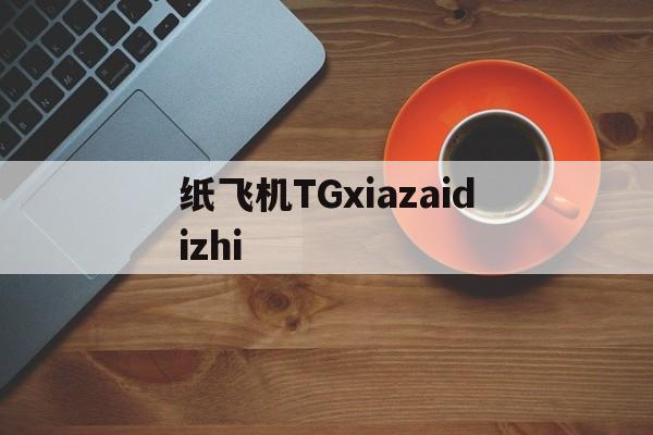 關(guān)于紙飛機(jī)TGxiazaidizhi的信息