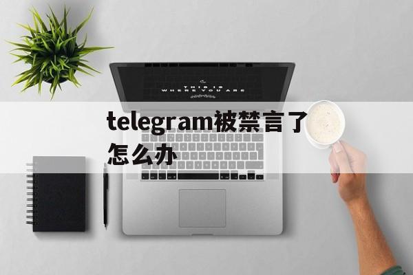 [telegram被禁言了怎么辦]telegram被管理員禁言怎么解