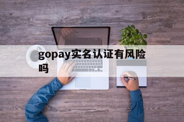 gopay實名認證有風險嗎,gopay是什么東西,正規嗎