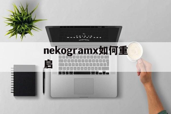 nekogramx如何重啟,neko collector怎么玩